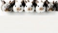 Cute eater bunnies on bright background