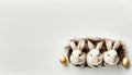 Cute eater bunnies on bright background