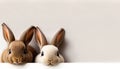 Cute eater bunnies on bright background