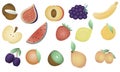 Cute edible fruits, vector set of elements on white background for children, learning aid in kindergarten and school