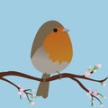 Cute egg shaped robin bird. Royalty Free Stock Photo