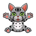 Cute egyptian mau cat cartoon