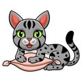 Cute egyptian mau cat cartoon on the pillow