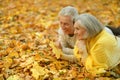 Cute elderly couple Royalty Free Stock Photo