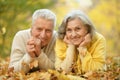 Cute elderly couple Royalty Free Stock Photo