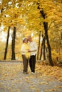 Cute elderly couple Royalty Free Stock Photo