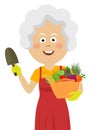 Cute elderly gardening woman with trowel and wicker basket with fresh vegetables Royalty Free Stock Photo