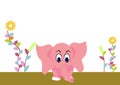 Cute elephant baby Royalty Free Stock Photo