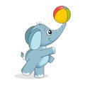 Cute elephant with ball Royalty Free Stock Photo