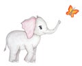 Cute elephant with butterfly. Watercolor hand drawn illutration