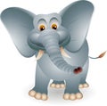 Cute elephant cartoon Royalty Free Stock Photo