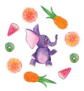 Cute elephant cub with fruits around Royalty Free Stock Photo