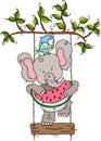 Cute elephant eating watermelon with bird on tree swing