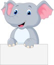 Cute elephant holding blank sign Royalty Free Stock Photo