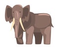 Cute Elephant Jungle Animal, African Safari Travel Cartoon Vector Illustration on White Background Royalty Free Stock Photo
