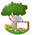 Cute elephant sitting with blank sign