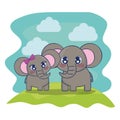 cute elephants couple characters vector illustration