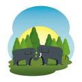 Cute elephants couple in the field scene