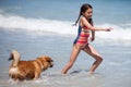 Cute Elo puppy runs in the sea after a pretty girl Royalty Free Stock Photo