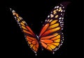 Cute embroidered butterfly for fashion design. Decorative element for patches, stickers, embroidery and prints. Vector