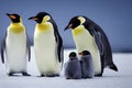 Emperor Penguin family with a fluffy baby, in snowy Antarctic, generative ai Royalty Free Stock Photo