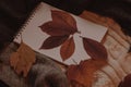 Cute empty notebook for education and autumn leaves