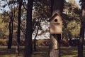 Cute empty wooden birdhouse in the park.