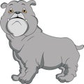 Cute english bulldog cartoon