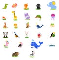 Cute English illustrated zoo alphabet with cute cartoon animal. Icons Royalty Free Stock Photo