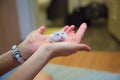 Cute Exotic Female Winter White Dwarf Hamster standing on owner palm hands. Winter White Hamster is known as Winter White Dwarf, D