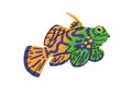 Cute exotic mandarinfish. Tropical sea water animal, colorful mandarin fish. Small spotted aquarium species. Ornamental