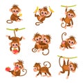 Cute exotic monkey characters. Cartoon funny primates. Different poses. Tropical animal hanging on vines. Isolated Royalty Free Stock Photo