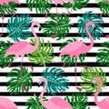 Cute exotic tropical seamless background with cartoon characters of pink flamingos Royalty Free Stock Photo