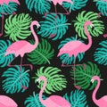 Cute exotic tropical seamless background with cartoon characters of pink flamingos Royalty Free Stock Photo