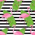 Cute exotic tropical seamless background with cartoon characters of pink flamingos Royalty Free Stock Photo