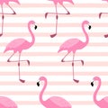 Cute exotic tropical seamless background with cartoon characters of pink flamingos Royalty Free Stock Photo