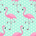 Cute exotic tropical seamless background with cartoon characters of pink flamingos Royalty Free Stock Photo