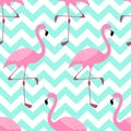 Cute exotic tropical seamless background with pink flamingos Royalty Free Stock Photo