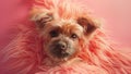 cute face of a dog on peach fuzz background