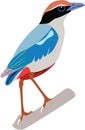 Cute Fairy Pitta vector Royalty Free Stock Photo