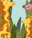 Cute family giraffes and monkey jungle safari vegetation cartoon