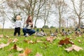 A cute family of a mother and her little son feeding ducks in the park Royalty Free Stock Photo