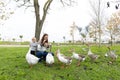 A cute family of a mother and a little boy walking in the park and feeding a flock of grey geese Royalty Free Stock Photo