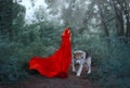 Cute fantastic image of fairy-tale character, mysterious dark-haired girl with long flying waving scarlet red bright