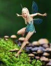 A cute fantasy fairy flying above a patch of mushrooms.