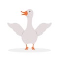 Cute farm goose. Domestic duck on white background. Agriculture bird. Village wildlife. Perfect for logo, greeting card