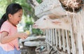 Cute farmer girl feeding baby goat with bottle of milk.