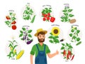 Cute farmer and his harvest around him. Set of vegetable plants and ripe fruits, tomato, chili pepper, sunflower, corn Royalty Free Stock Photo