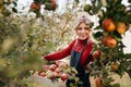 Cute farmer woman with freshly harvested apples in wooden box. Agriculture and gardening