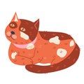 Cute fat adorable cat or kitten cartoon character, flat vector illustration isolated.